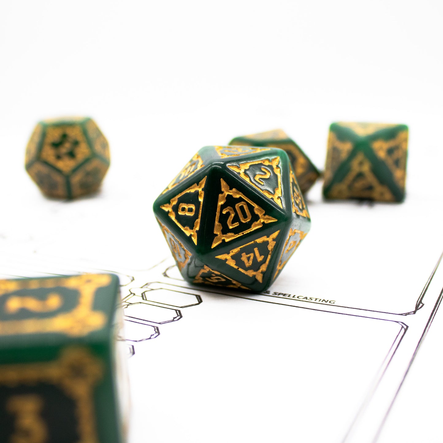 Kingdom of the Forest