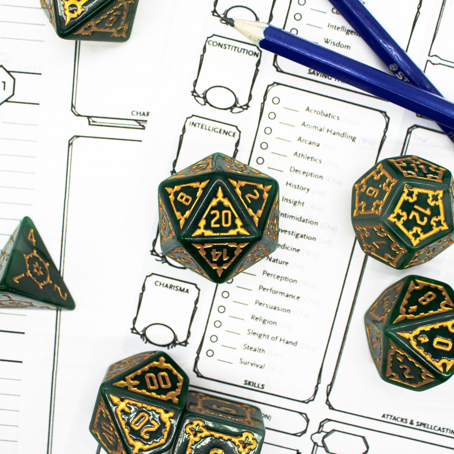 Kingdom of the Forest